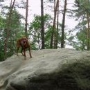 Tenhle kamínek by chtěla Fanča domů (jenže mám malý baťůžek)