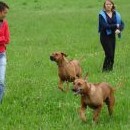 S Míšou, Terezkou, Mari a Fančou jdeme na trať Železného ridgebacka povzbudit závodníky