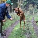 Nakonec se nechala přemluvit - tam i zpět