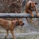 Fanča učí Kiru hula-hup