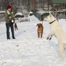 Canny se nechá nachytat na každou pitomost