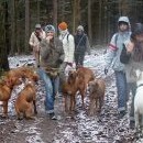 Zkušené turistky na výlet bez svačiny nevyrážejí