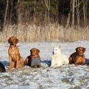 Tradiční skupinové foto - zleva: Maggie, Rose, Kira, Brassila, Canny, Creasy, Fanča, Dar (Conny si šla po svém)