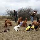 Pokus o společnou... ještě nejsou na místě všichni a Konoušová už sestavu opouští