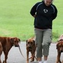 Zkušený psovod zvládne i tři psy (Martina s Maruškou, Meggy a Sárou)