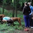 Nejsme žádná béčka a našli jsme ho