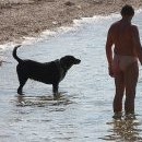 Odpoledne na pláži (fotila jsem psa a vůbec jsem si nevšimla, že má páníček holou p...l)