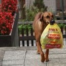 Fanča tak miluje nákupy, že už je ochotna i pomáhat s taškami 