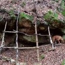 Medvědí jeskyně