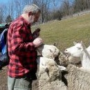 Kadeřábek má kozy a ovce (ujíždějí na Tatrankách)