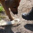 Vzácnému nálezu činí oba páníčkové jednoznačně přítrž