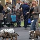 Na výstavě Viking Line Dog Show Åland