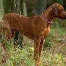 Berllyn se chtěla kochat vyhlídkami, ale viditelnost byla špatná