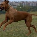 Takhle u nás vypadá spokojenost s dobře odvedenou prací