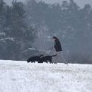 Dnes tu k našemu překvapení venčilo i dost hostů