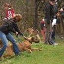 Na start jde Cooper, paparazzi mají pohotovost