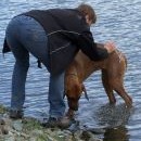Při mytí psa je důležité mít dost vody a vyvažovat těžiště