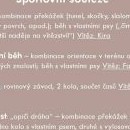 Valná část programu se odehrála ve sportovním duchu