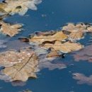 Jezero už je v podzimním hávu