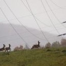 Čerti se začali ženit a srnky běžely domů