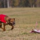 Fanynka hned v prvním běhu svou soupeřku setřásla