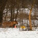 Fanynka startovala mezi prvními