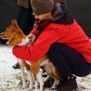 Duo basenji