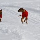 Fanynka na startu přichrupla