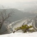 Fanynka pod borovičkou pózovat nechtěla