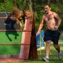 Večerní agility