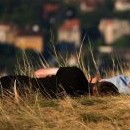 Tihle kupříkladu vůbec nevědí, že už vyšlo slunce