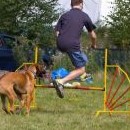 Začátek sportovního klání - agility