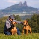 Jenže nemohu dát dohromady formaci