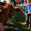 Nneí divu, že nezaujme ani číšník roznášející občerstvení