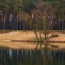 Jezero dnes bylo klidné