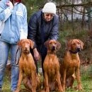 Trojice hlavních aktérů této sešlosti: Charles, Trixie a Ryann