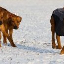 Formace dlouho nevydržela