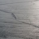 Jezero je zamrzlé