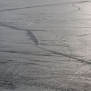Jezero je zamrzlé