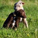 Posuzovat, kdo si vedl ve vzájemných půtkách lépe, bylo těžké