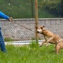 Nedá se říct, že by výstavy přirostly k srdci všem