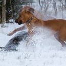 Tohle se, myslím, povedlo!