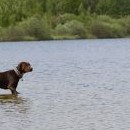 Kali se pouští do boje s lochnesskou