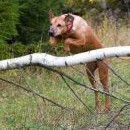 Seniorka trpělivě předcvičuje znovu a znovu