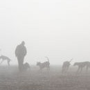 Ranní dostaveníčko nad Prahou