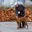 Možná je dobře, že hledané osoby to Týnino nadšení nevidí