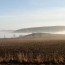 Sobotní ráno - mlhy se válejí a Kali jede cvičit