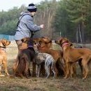 To se srocují ochotně a bez vedlejších úmyslů