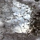 Venku už to začíná připomínat jaro
