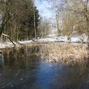 Maršovský rybníček